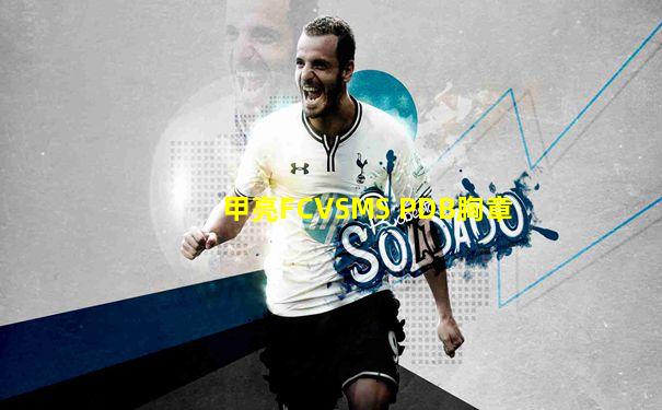 甲亮FCVSMS PDB胸章